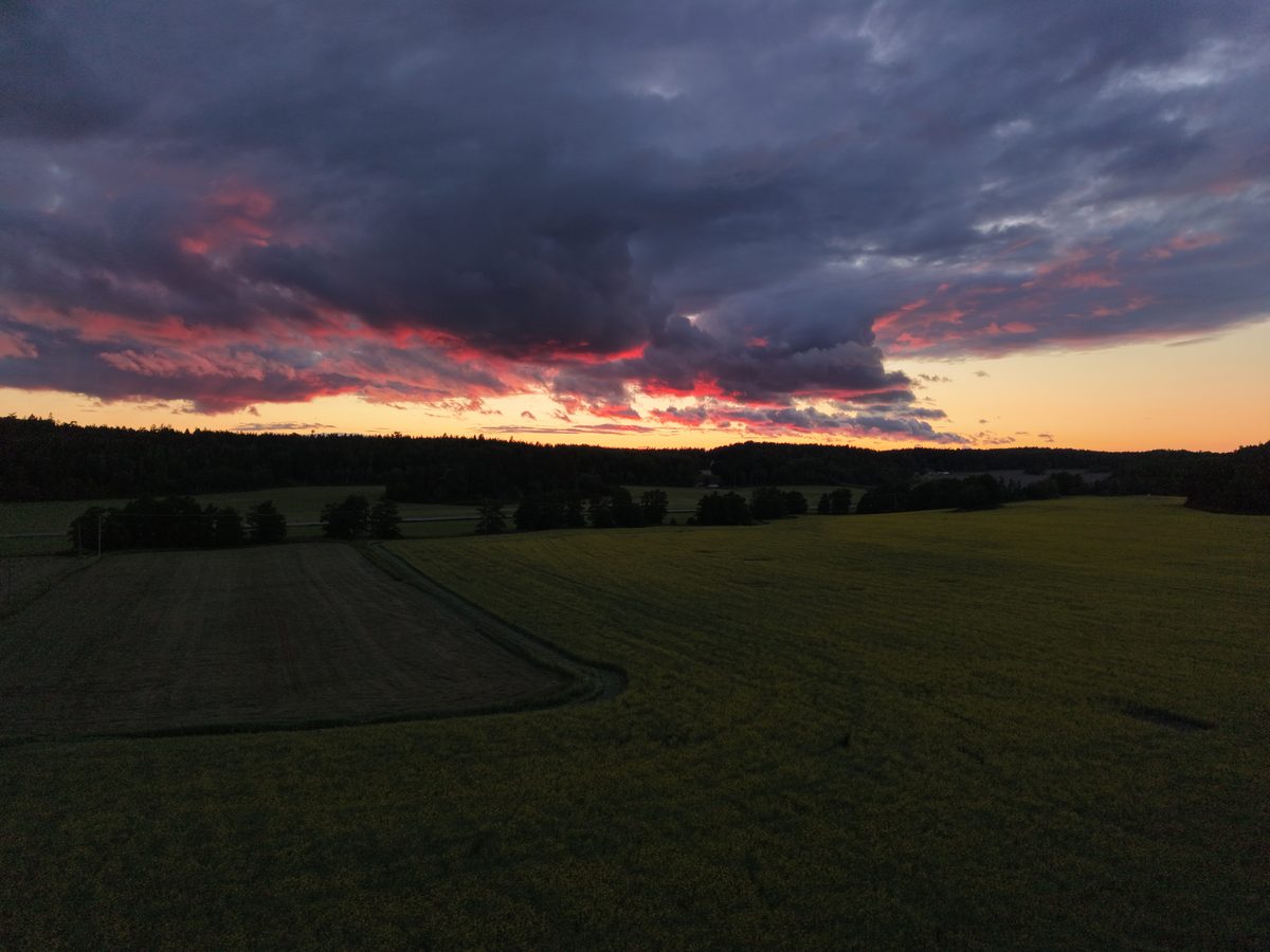 Dramatiska rosa moln över en åker i solnedgången