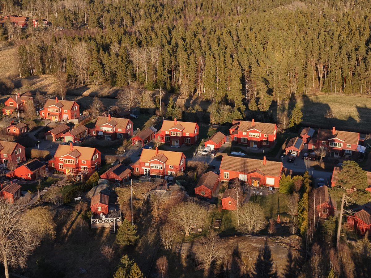 Röda hus i kvällsljus vid skogskanten